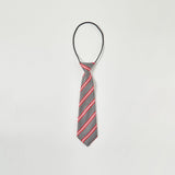 School Ties for Boys/Kids, Pre-tied Adjustable Neckties Boys Tie for Graduation Uniforms Party Casual