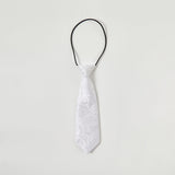 ly1557 School Ties for Boys/Kids, Pre-tied Adjustable Neckties Boys Tie for Graduation Uniforms Party Casual