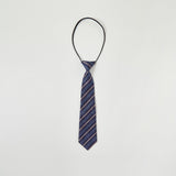 School Ties for Boys/Kids, Pre-tied Adjustable Neckties Boys Tie for Graduation Uniforms Party Casual